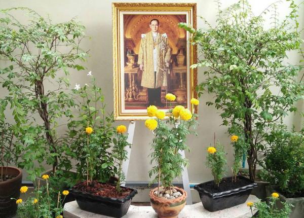 Activity to Commemorate the Late H.M. the King Bhumibol Adulyadej